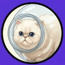 Vasecat