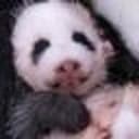佑宝