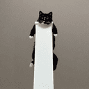 HIGHCAT