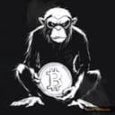 BITMONKEY