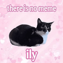 ily