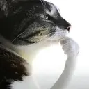 hmm