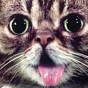 BUB