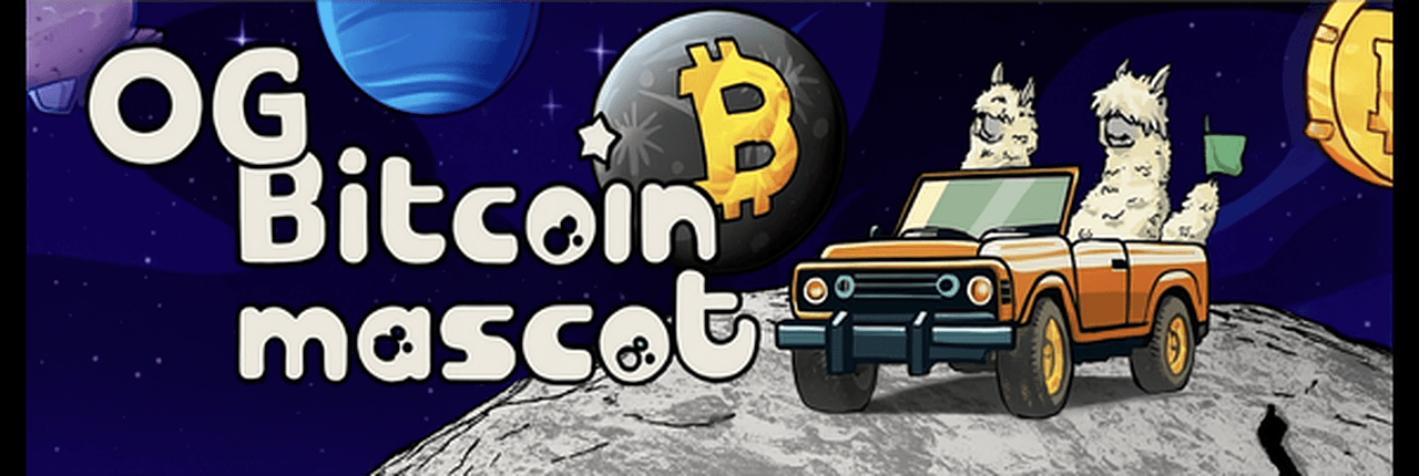Alpaca Banner