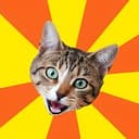 BADCAT