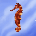 SEAHORSE