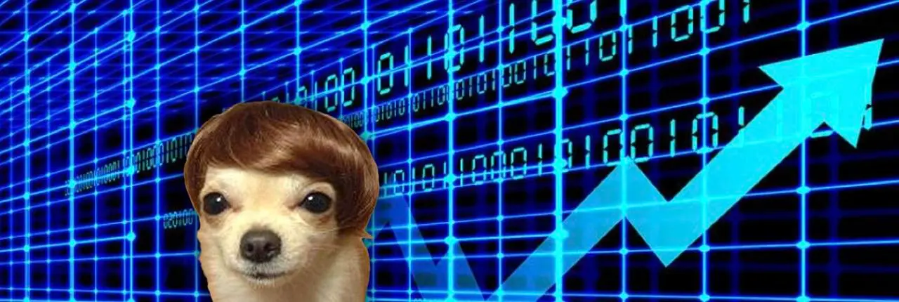 dogwifhair Banner