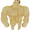DOGE