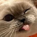 小杰