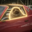 SIC