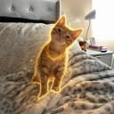 SIMBA