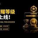 荣耀等级系统