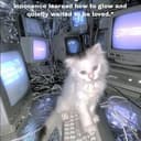 QCAT