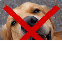 Dogless