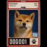 Dog-001