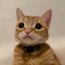 nacho