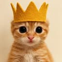 👑