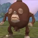 jajak