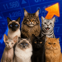 S&amp;P500