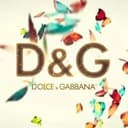 D&amp;G
