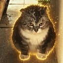 WETCAT