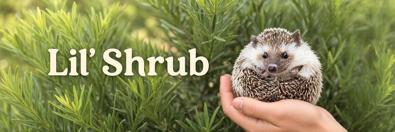 Lil' Shrub Banner