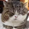 Maru