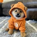 DOG_AI