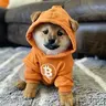 DOG_AI