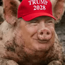 POTUS