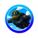 AIRFROG