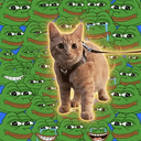 PEPE