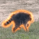 Jimothy
