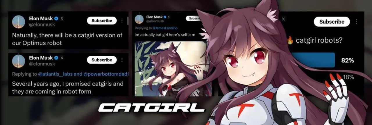 Catgirl Banner
