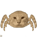 spidercat