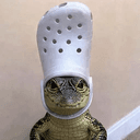 croc