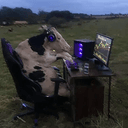 cow