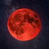 BloodMoon