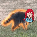 Wendothy