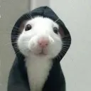 hoodrat