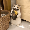 Pomi