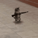 GUN
