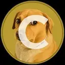 CASHEW