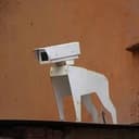 WATCHDOG