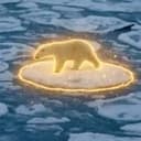 冲浪熊