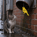 VENTCAT
