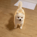 Ponsuke