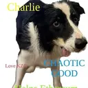 CHARLIE
