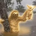 SLOTH