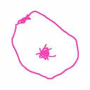 SCRIBOOB